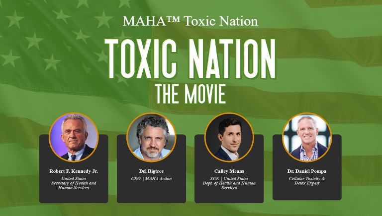 toxic-nation-the-movie-2025